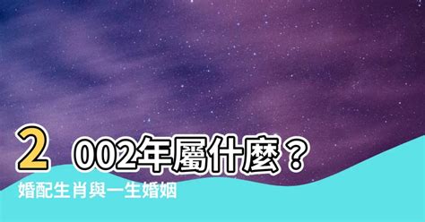 2002年屬|【2002什麼年】2002年屬什麼？轉運妙招就在這！